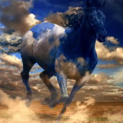 أحًصّنِةّ آلَرؤى 